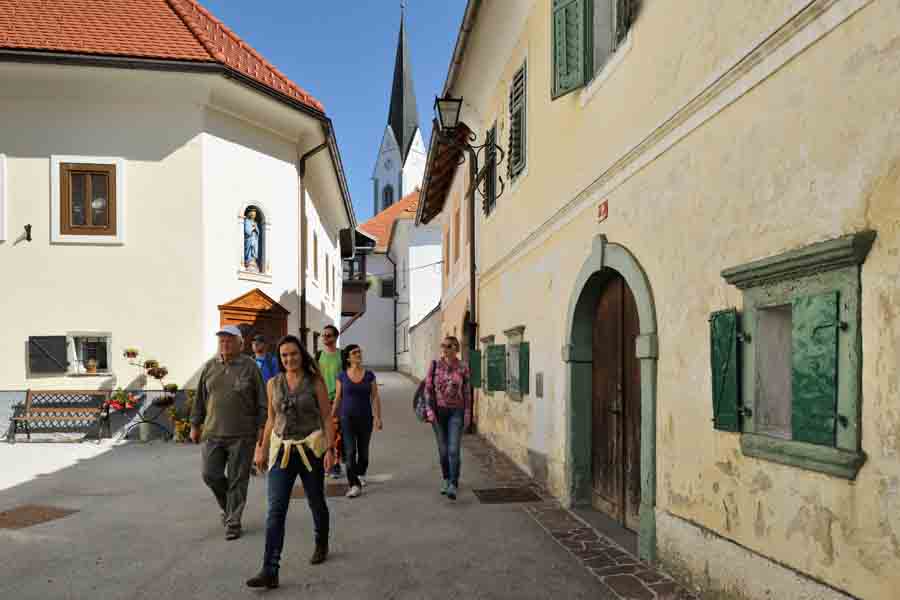 Guided Tour of Radovljica
